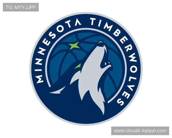 森林狼队三分战术体系成联盟研究对象，森林狼队三号